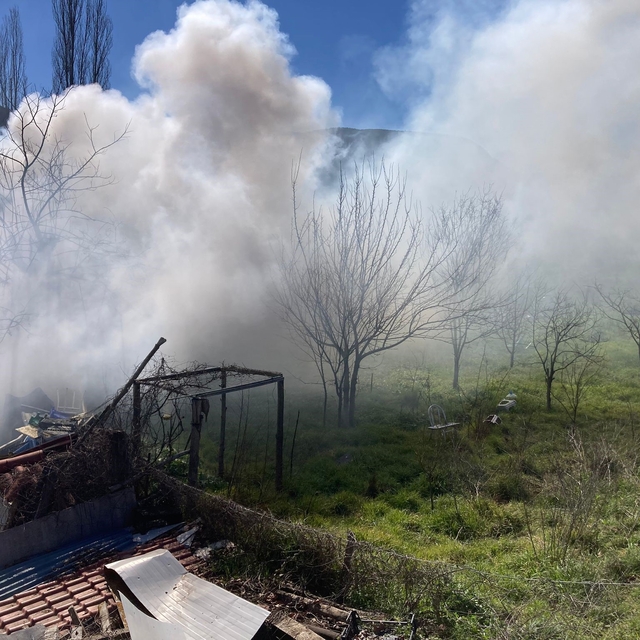 Bilecik'te bağ evinde çıkan yangın korkuttu