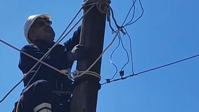 Elektrik direğinde mahsur kalan kediyi ekipler kurtardı