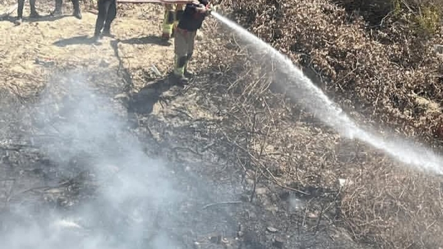 Samandağ'da bahçede çıkan yangın büyümeden söndürüldü