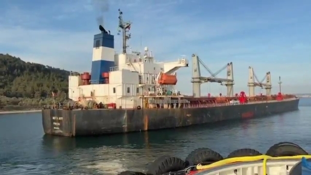 Çanakkale Boğazı'nda makina arızası yapan gemi karaya oturdu