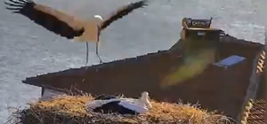 Yaren Leylek, eşi Nazlı ile de buluştu