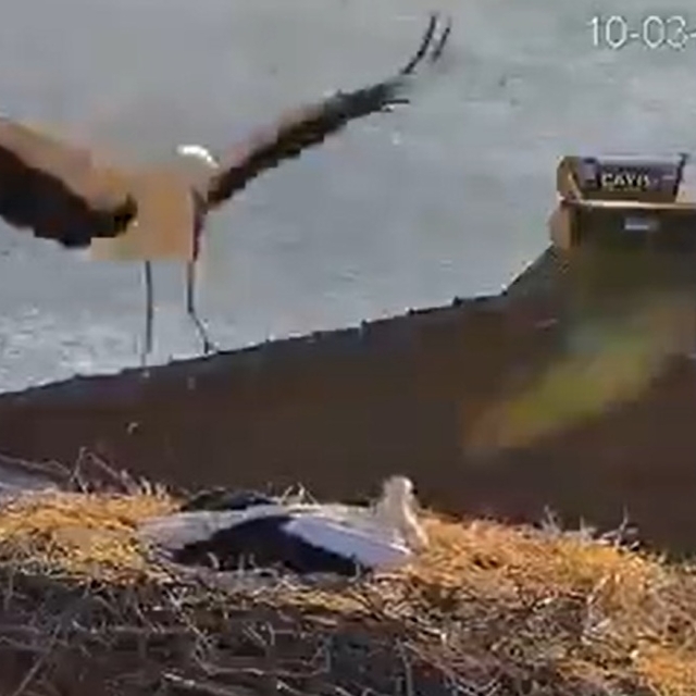 Yaren Leylek, eşi Nazlı ile de buluştu