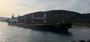 Çanakkale Boğazı'nda makine arızası yaşayan gemi karaya oturdu