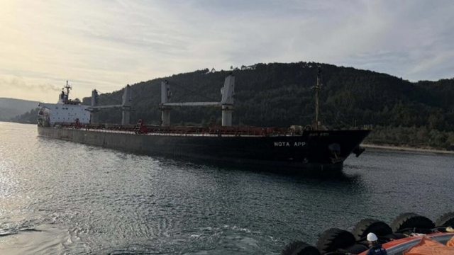 Çanakkale Boğazı'nda makine arızası yapan dökme yük gemisi karaya oturdu