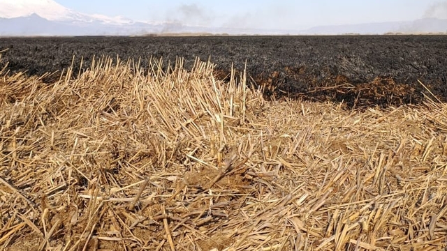 Sultan Sazlığı'ndaki yangın 4 günde söndürüldü