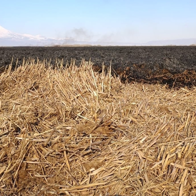 Sultan Sazlığı'ndaki yangın 4 günde söndürüldü