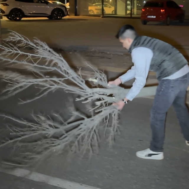 Kaza sonrası cam ve plastik parçalarıyla dolan yolu vatandaş kırılan ağaçla...