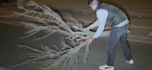 Kaza sonrası cam ve plastik parçalarıyla dolan yolu vatandaş kırılan ağaçla...