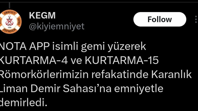Çanakkale Boğazı'nda makine arızası yapan yük gemisi karaya oturdu (2)
