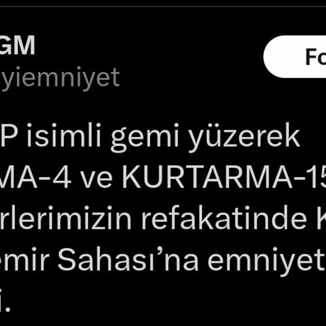 Çanakkale Boğazı'nda makine arızası yapan yük gemisi karaya oturdu (2)
