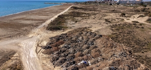 Caretta kumsalındaki temizlik çalışmasında 1500 lağım çukuru tespit edildi