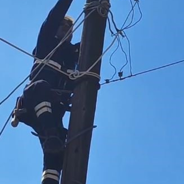 Köpeklerden korkup elektrik direğine çıkan kedi kurtarıldı