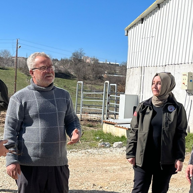 Müdür Ayvalık, üreticilerle tarım ve hayvancılığı inceledi