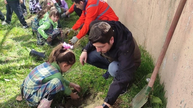 Çavdarhisar'da minikler okul bahçesine fidan dikti