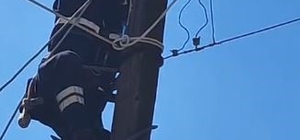 Köpeklerden korkup elektrik direğine çıkan kedi kurtarıldı