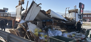 Gıda malzemesi yüklü tır refüje girip ortalığı savaş alanına çevirdi