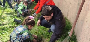 Çavdarhisar’da minikler okul bahçesine fidan dikti