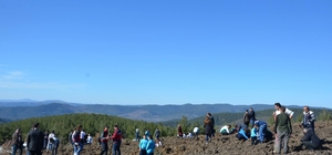 Emet'te zeytin fidanları toprakla buluştu