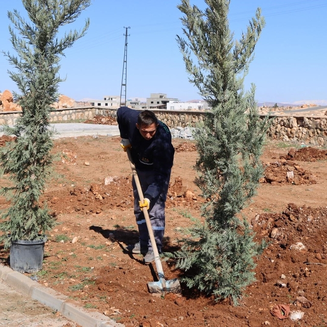 Yukarıgöklü Kent Parkı yeşile bürünüyor