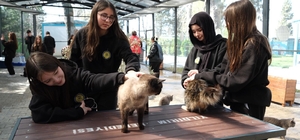 Gençerlerden patili canlara ziyaret