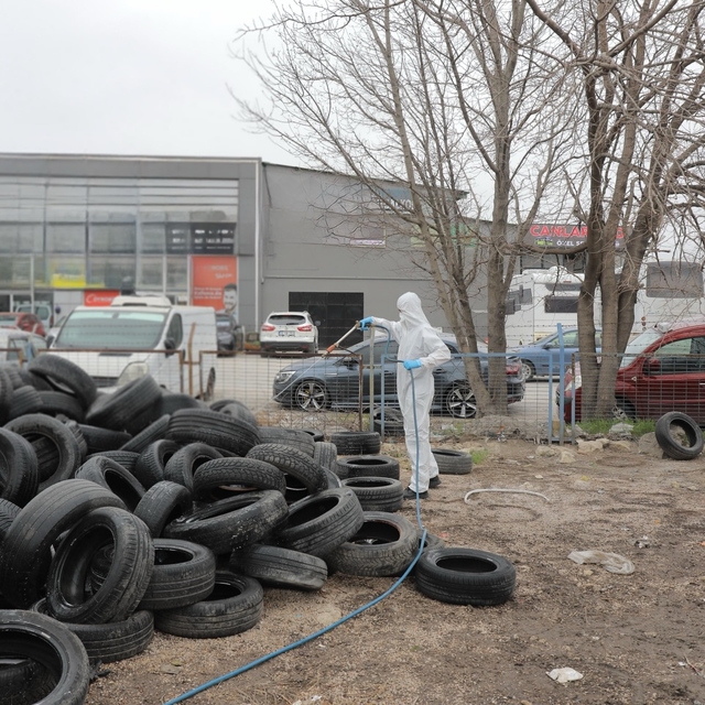 Edirne Belediyesinin vektörle mücadele çalışmaları sürüyor