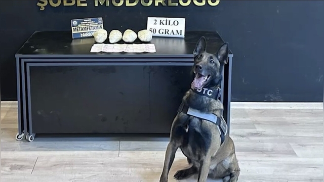 Ocak ayının en başarılı narkotik köpeği "Jardi" oldu