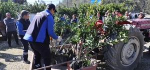 Zirai dondan zarar gören üreticilere fidan desteği