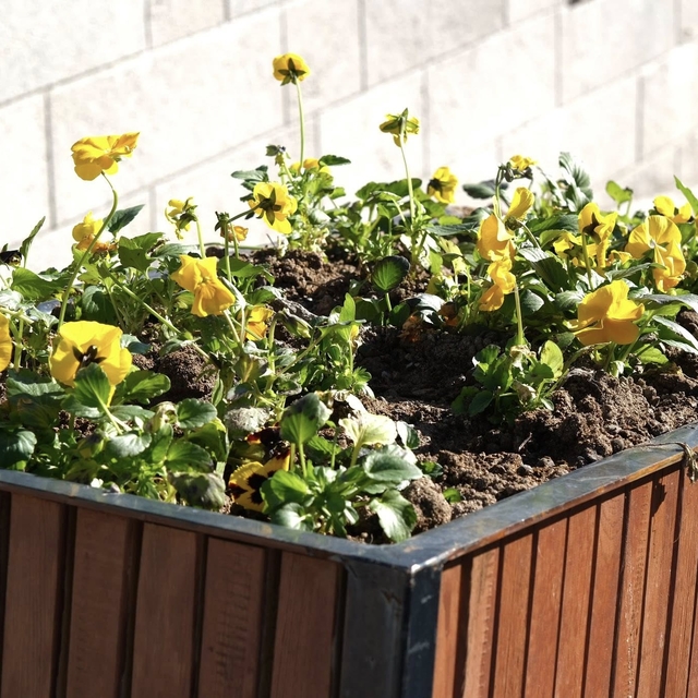 Güdül'de mevsimlik çiçek dikim çalışmaları sürüyor