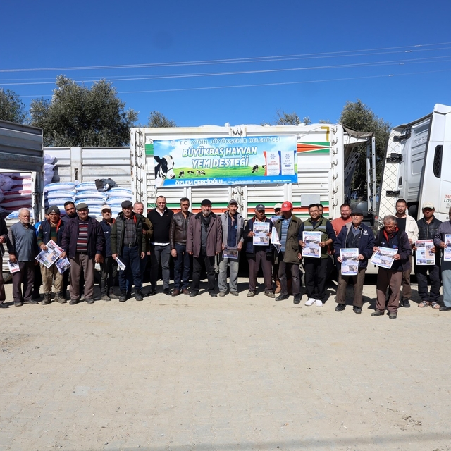 Aydın Büyükşehir'den Yenipazarlı üreticilere yem desteği