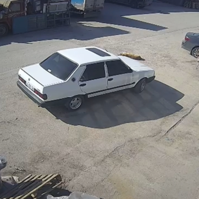 Yerde yatan köpek, otomobilin altında kaldı