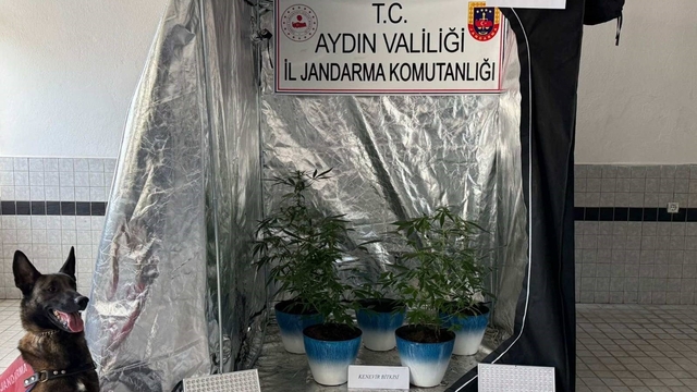 Jandarma narkotik affetmedi
Evde özel düzenekle kenevir yetiştiren şüpheli yakalandı