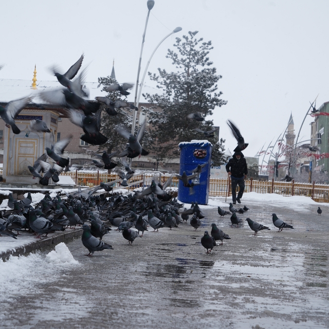 Erzurum'a kar geri geliyor