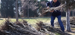 Başkan Altay: "23 bin 500 adet fidanı çiftçimize ulaştıracağız"