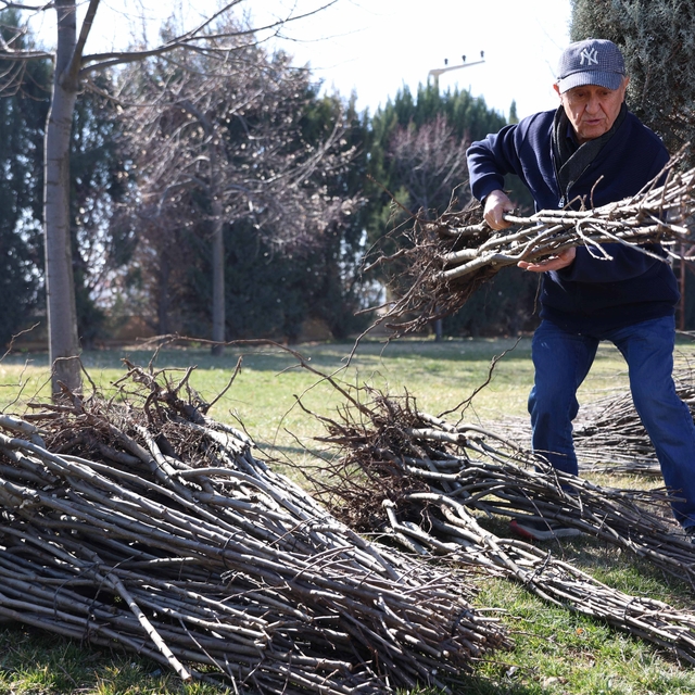 Başkan Altay: "23 bin 500 adet fidanı çiftçimize ulaştıracağız"