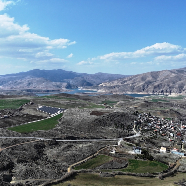 Başkan Çolakbayrakdar: "Türkiye'de ağaç dikmede rekor kırdık, şimdi yeni bi...