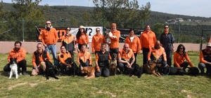 'Arama kurtarma köpeğinin yapabileceği işi hiçbir ekipman yapamaz'