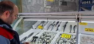 Yasak öncesi balık satış yerleri denetlendi