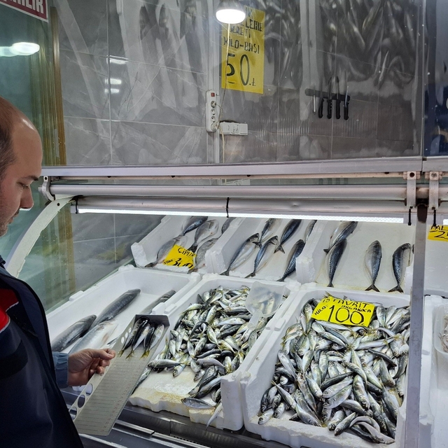 Yasak öncesi balık satış yerleri denetlendi