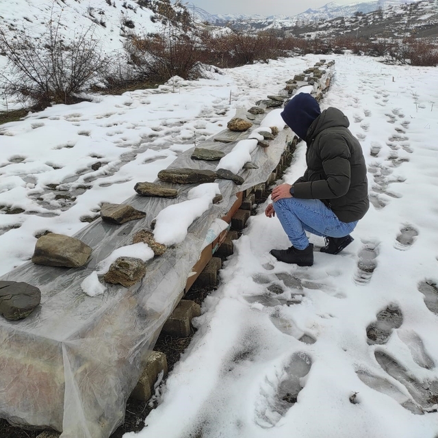 Birincilik getiren arılarını kış şartlarında özenle koruyor