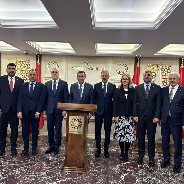 Cumhurbaşkanı Yardımcısı Cevdet Yılmaz Mardin'de