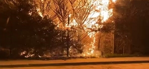 Sebepsiz yere ateşe verilen ağaç itfaiyeyi harekete geçirdi