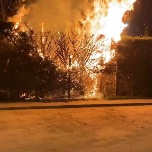 Sebepsiz yere ateşe verilen ağaç itfaiyeyi harekete geçirdi