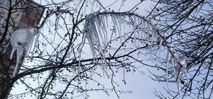 Kars'ta ağaçlar buz tuttu