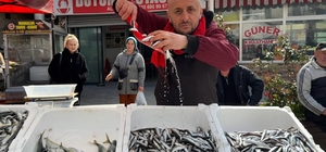 Zonguldak'ta balık tezgahlarında Ramazan mesaisi; hamsi 100 liradan satılıyor
