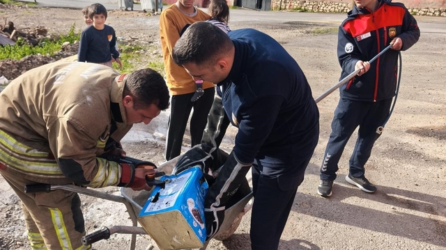 Mahsur kalan köpeklerin yardımına itfaiye yetişti