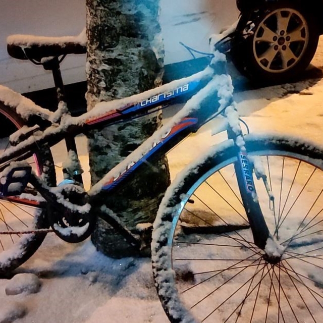 Ardahan'da kar yağışı etkili oldu