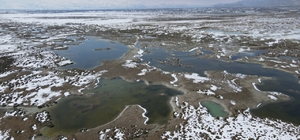 Ekşisu Kuş Cenneti’nde doğa drone ile kaydedildi Şahinlerin avı, kuşların kaçışı: Ekşisu Kuş Cenneti’nde doğa kamerada