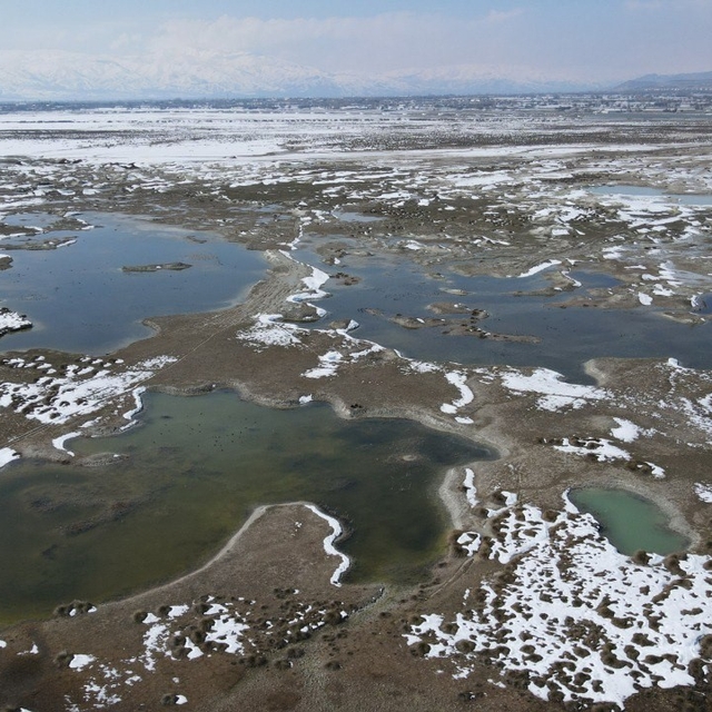 Ekşisu Kuş Cenneti'nde doğa drone ile kaydedildi
Şahinlerin avı, kuşların k...