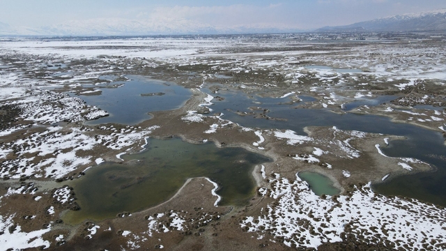 Ekşisu Kuş Cenneti'nde doğa drone ile kaydedildi
Şahinlerin avı, kuşların kaçışı: Ekşisu Kuş Cenneti'nde doğa kamerada