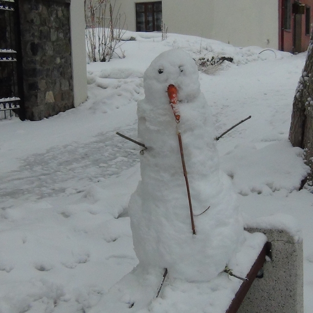Kars'ta Mart ayında yağan kar, kenti yeniden beyaza bürüdü